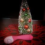 sydney escort christmas
